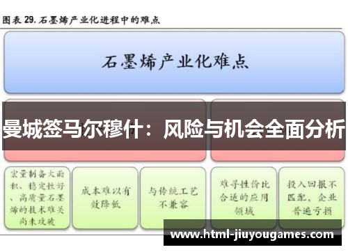曼城签马尔穆什：风险与机会全面分析